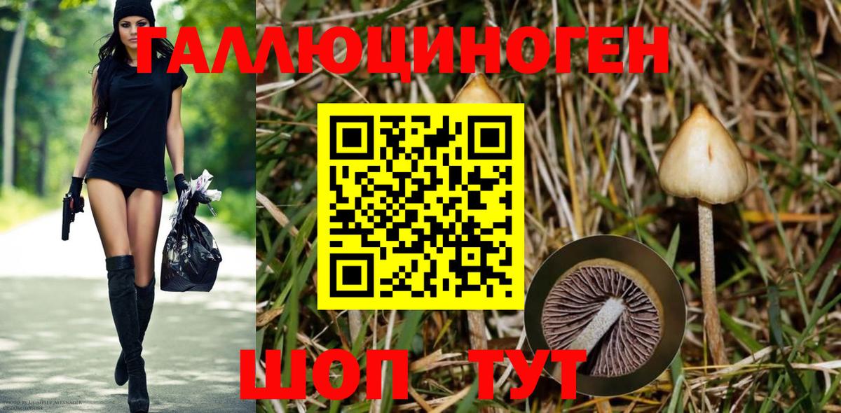 Псилоцибиновые грибы Psilocybe  продажа наркотиков  Богородск  Вход с VPN 