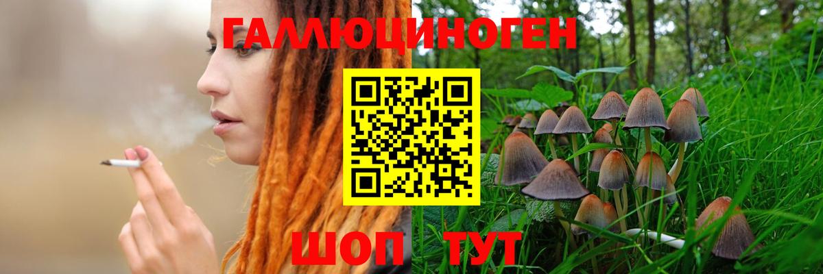 Псилоцибиновые грибы Psilocybe Богородск
